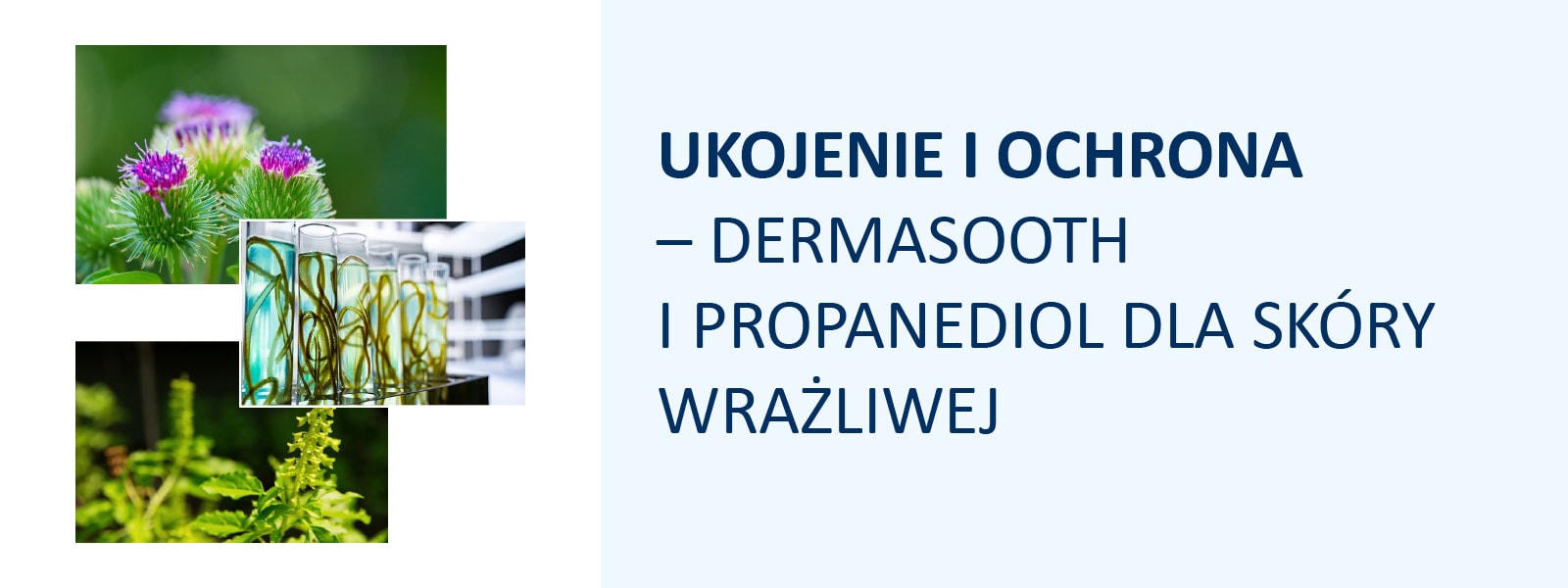 UKOJENIE I OCHRONA – DERMASOOTH I PROPANEDIOL DLA SKÓRY WRAŻLIWEJ