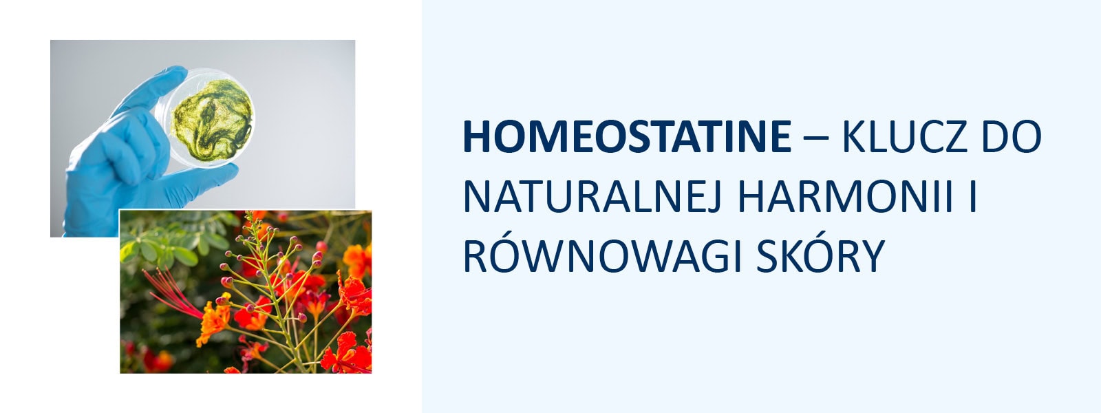 HOMEOSTATINE – KLUCZ DO NATURALNEJ HARMONII I RÓWNOWAGI SKÓRY